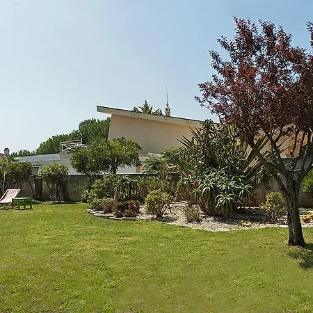 Terrace Beach House *